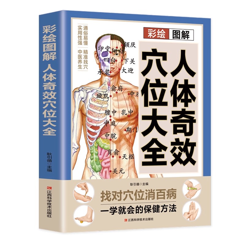 경혈 마사지 및 전통 중국 의학 건강 보존 요법에 대한 - Health & Wellness Newsletter 리뷰 및 가격