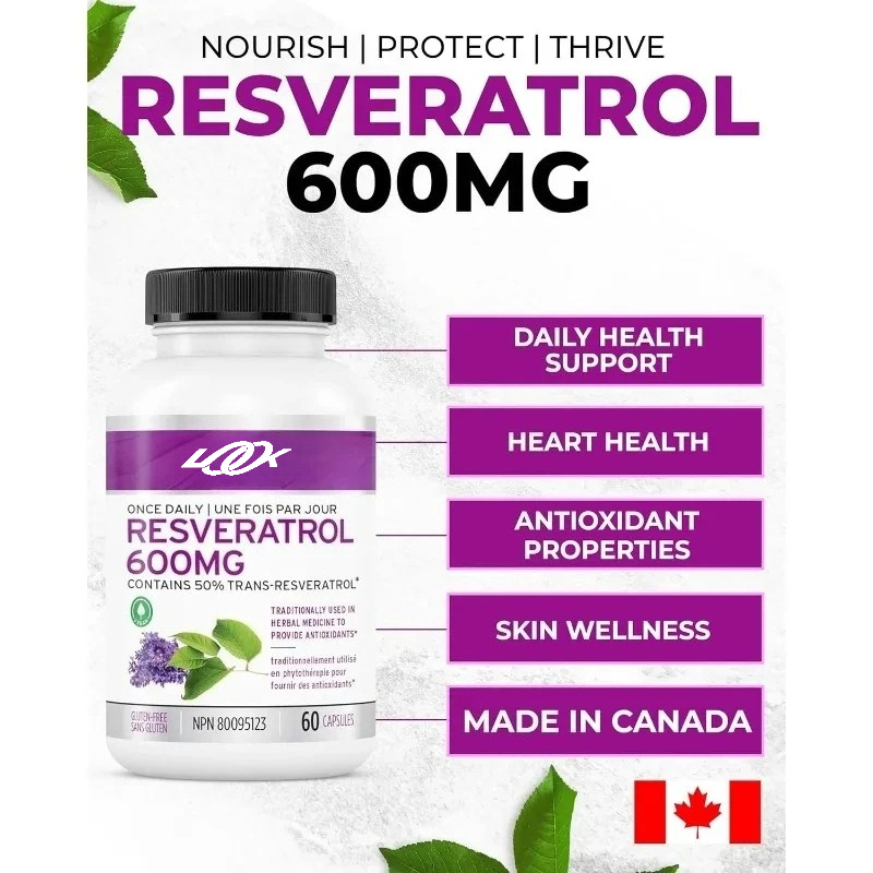 활성 레스베라트롤 보충제 캡슐 600mg - 강력한 항 - Longevity Health & Wellness Hotel Adults Only 리뷰 및 가격